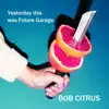 Bob Citrus - Yesterday This Was Future Garage - EP